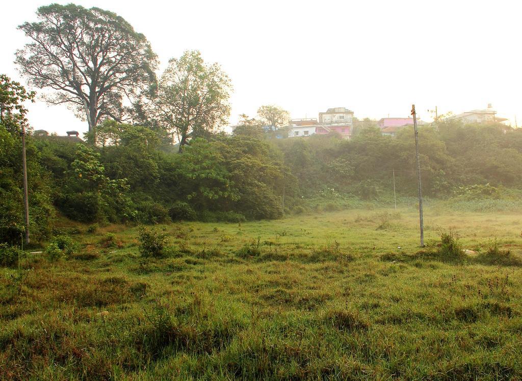Coorg Rahul Villa 马迪凯里 外观 照片